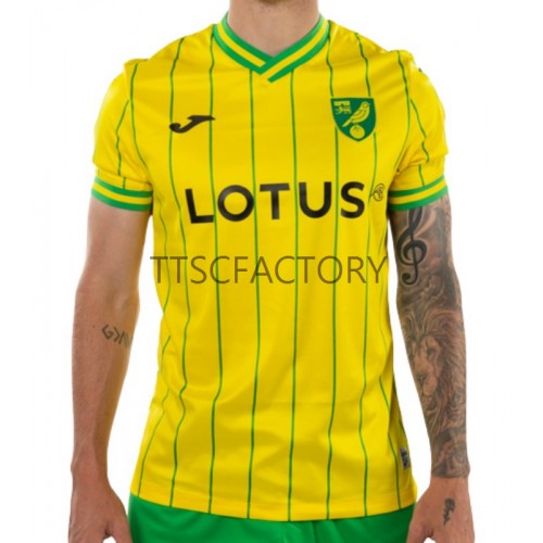 Norwich City Fodboldtrøjer Hjemmebanesæt 2022/23 Kort ærmer Norwich City Fodboldtrøjer Hjemmebanesæt 2022/23 Kort ærmer